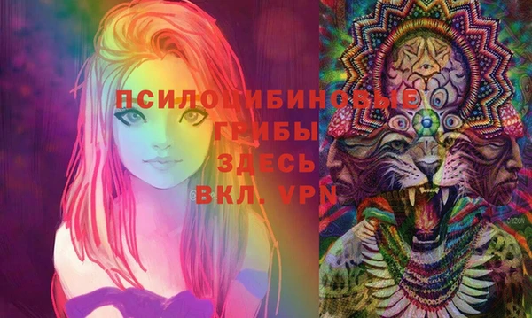 ECSTASY Абаза